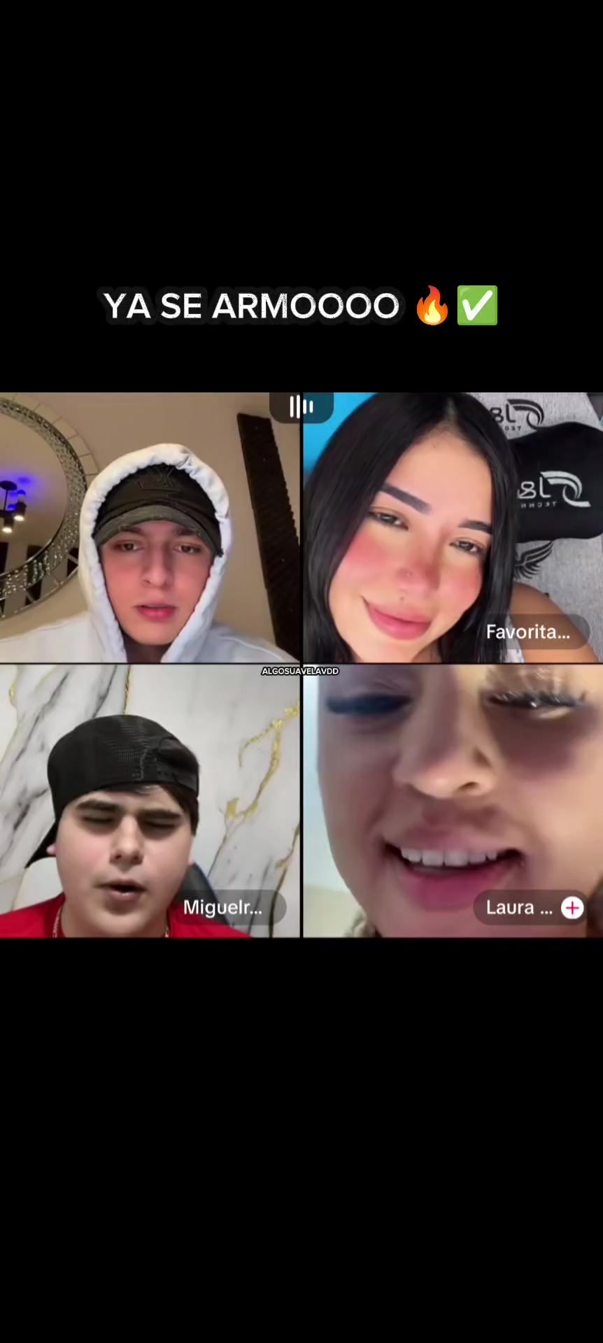 @ALGOSUAVELAVDD 🐿️