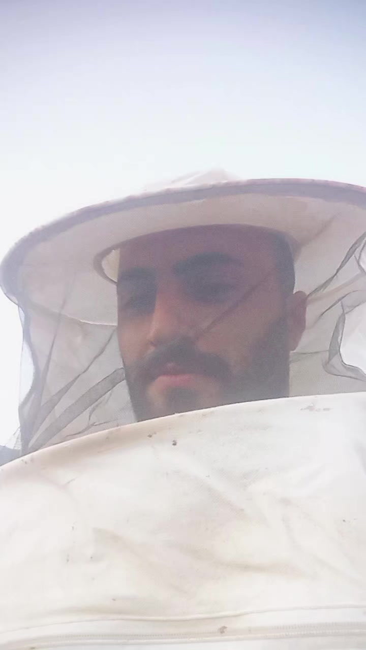 @ŞEHİTOĞLU