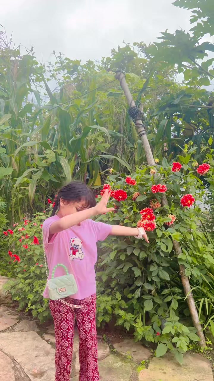 @Tara Bhusal867