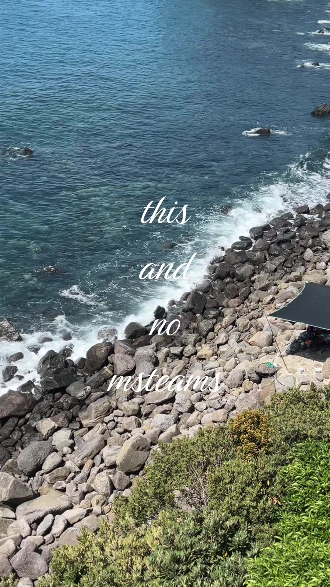 @y.ixuann