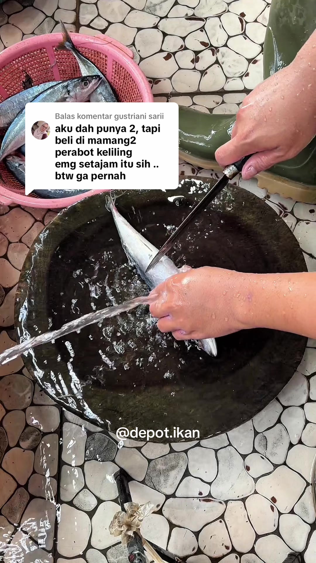 @Depot Ikan