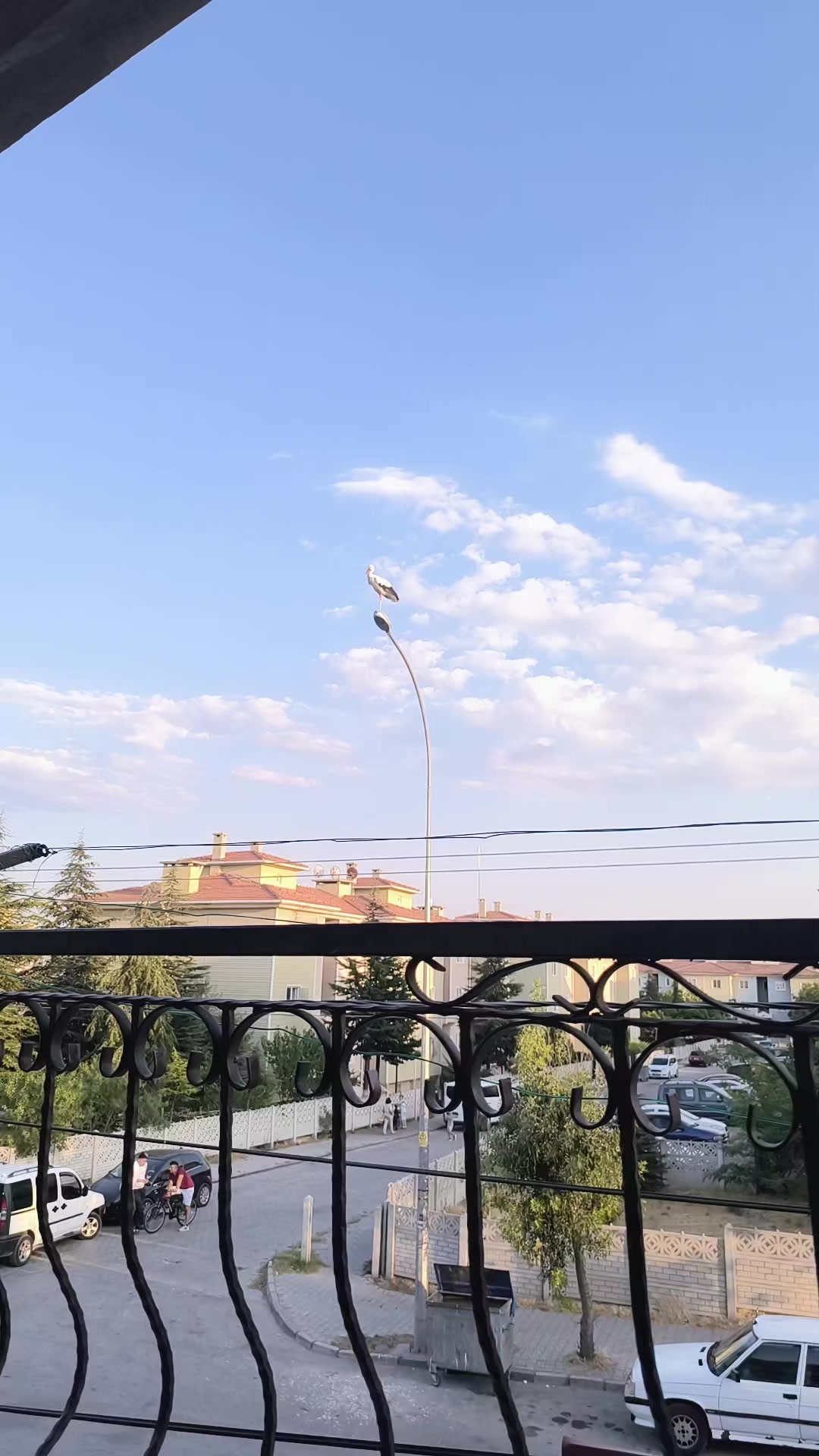 @Birgül Şen 03