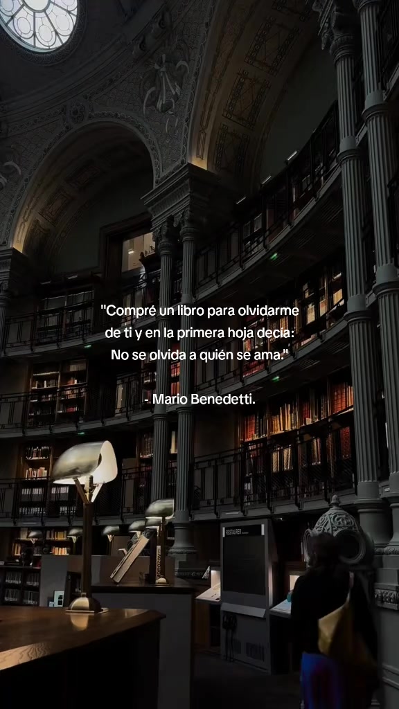 @Reyner Andr&eacute;s🦖