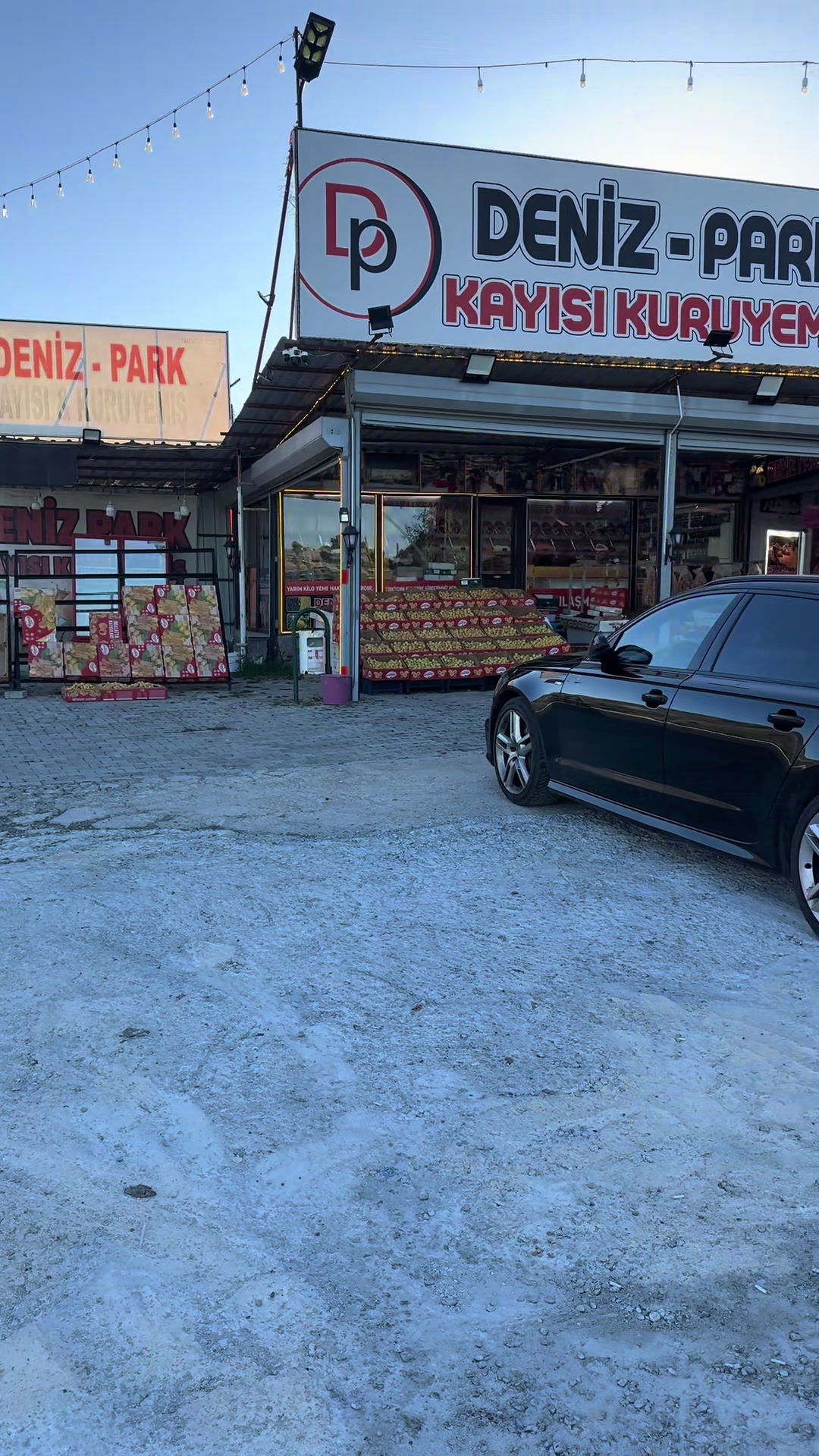 @DENİZ KAYISI
