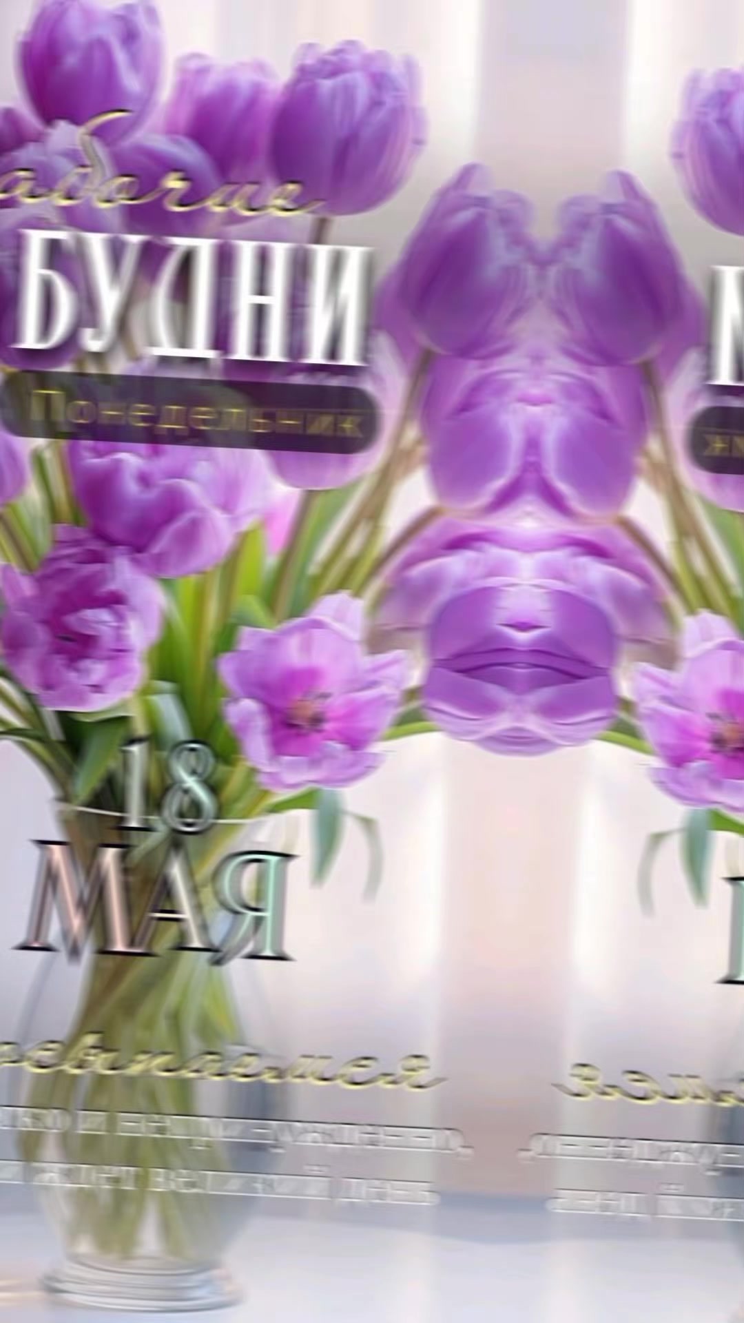 @леди Бодрум а 3
