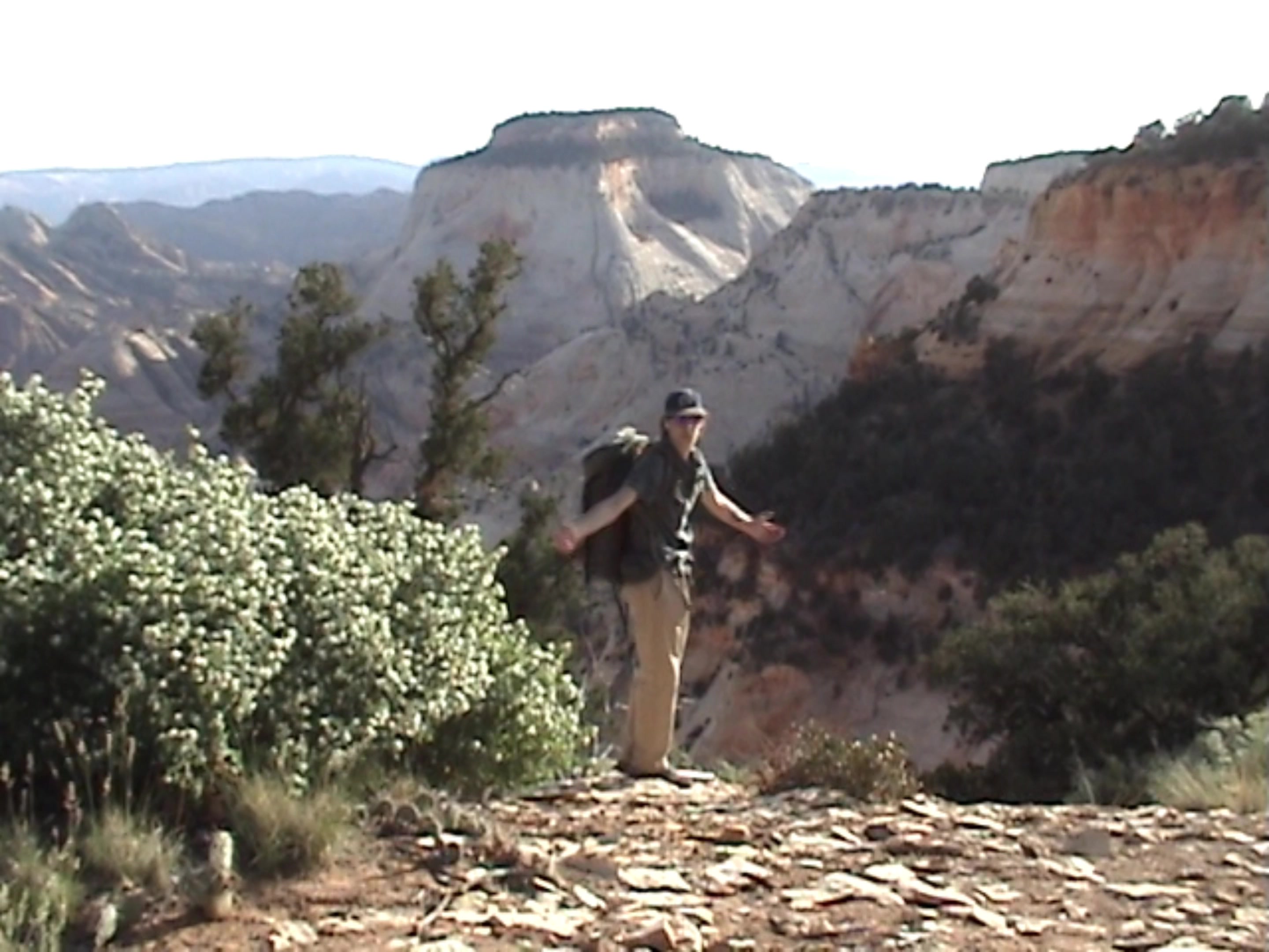 @Wildwestcg