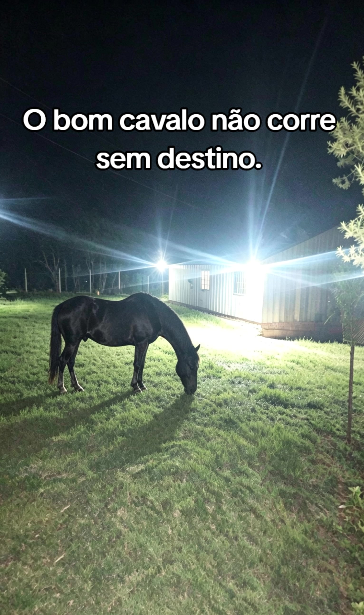 @Raiz da Roça Oficial