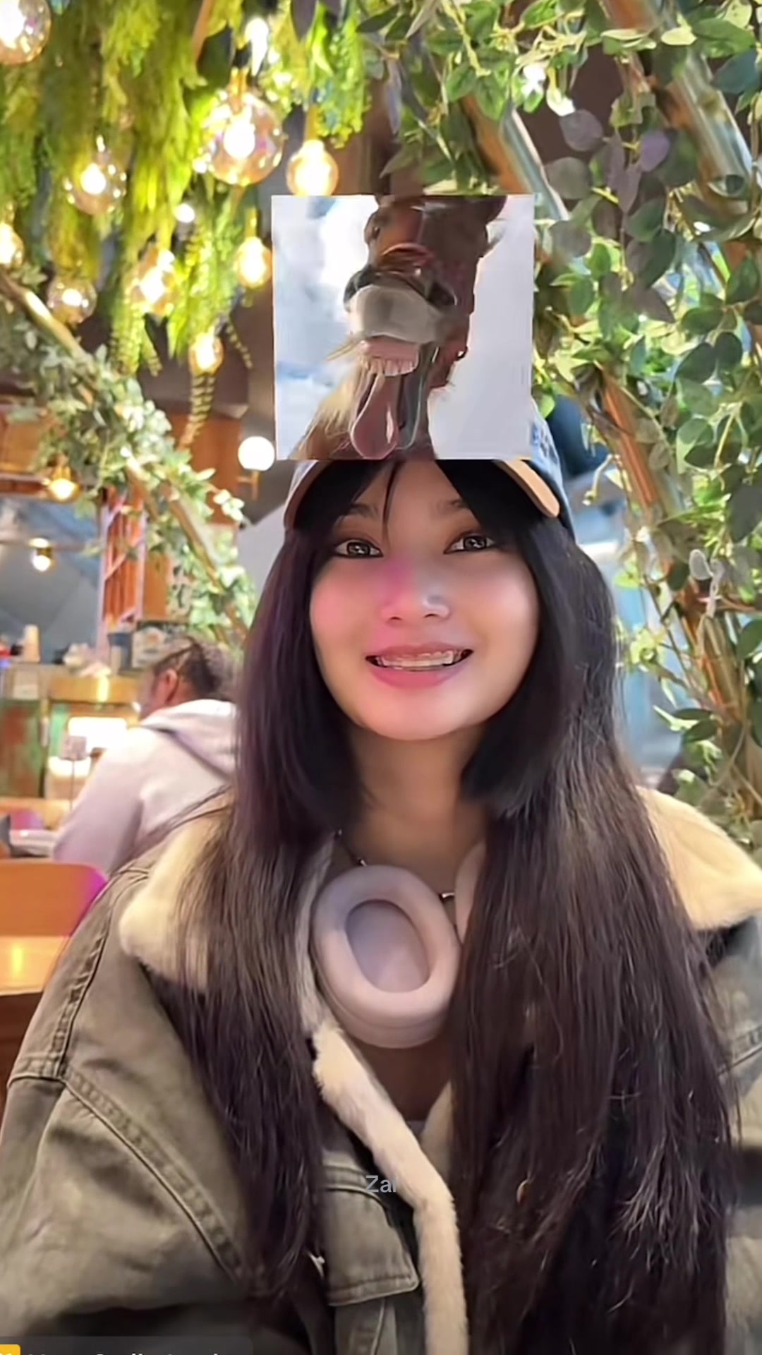 @ᵖˡˢZai