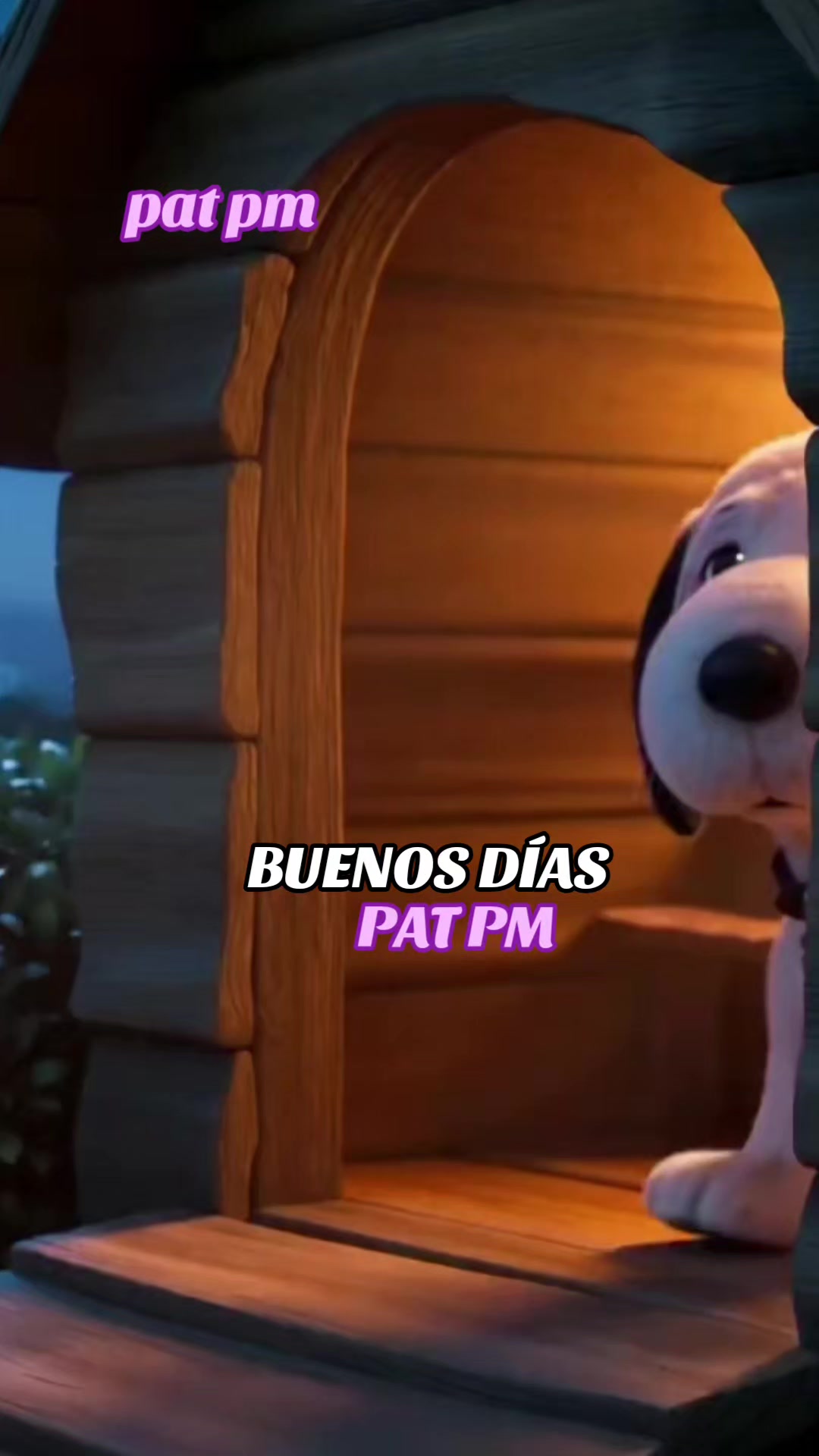 @PAT PM