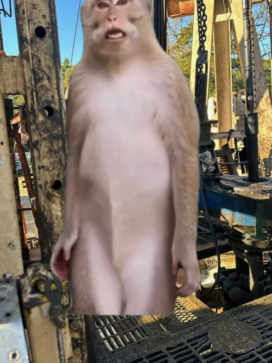 @MyOnlyPronounIsHand
