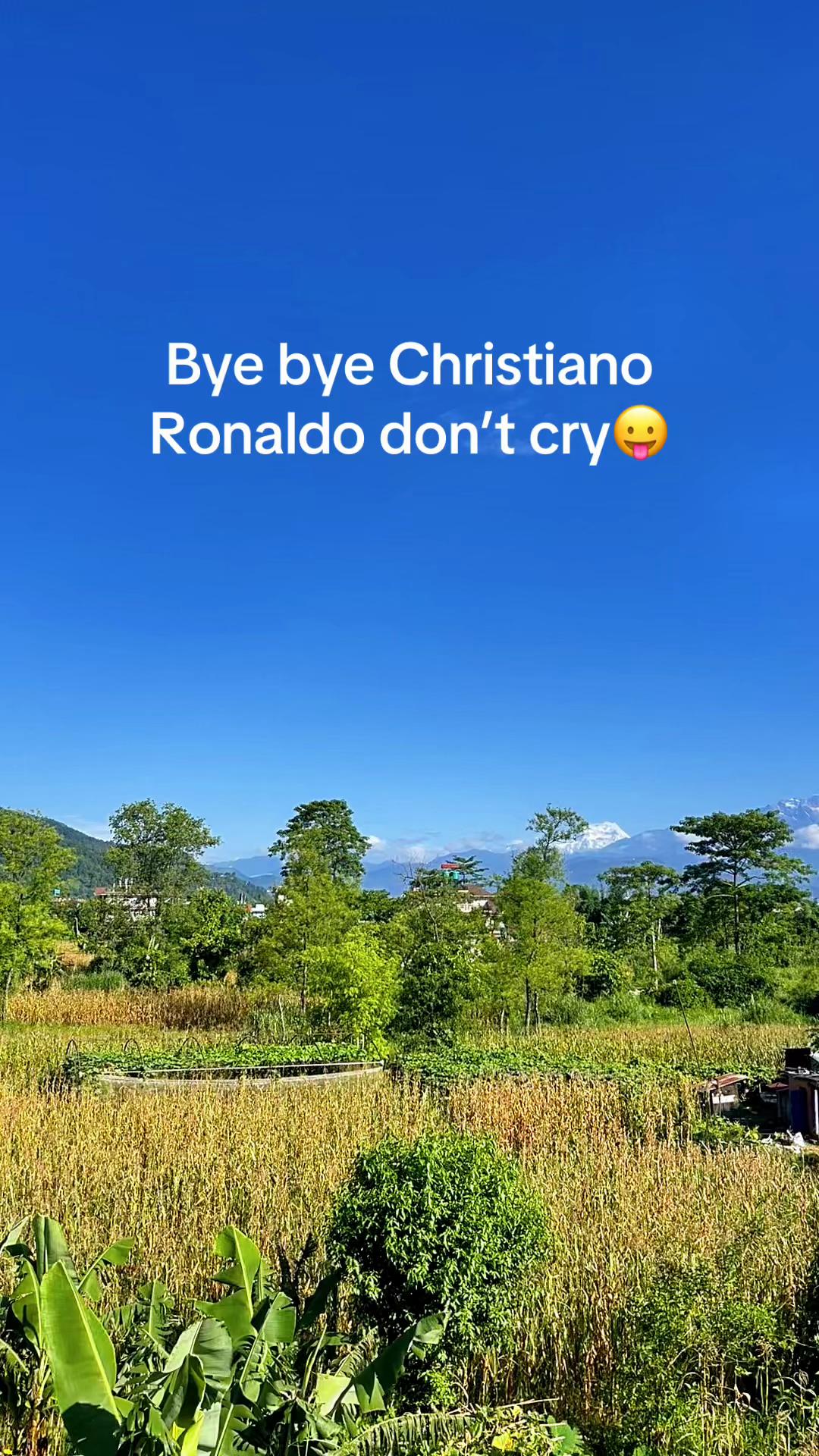 @DP.UNIVERSE