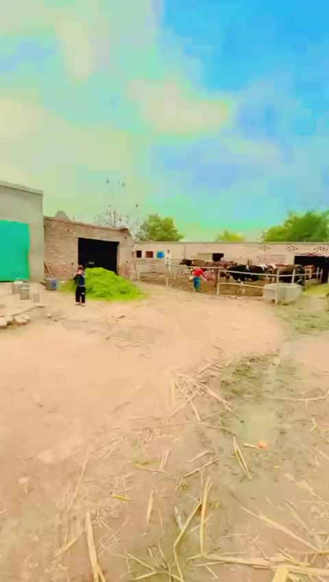 @Malik Rashid