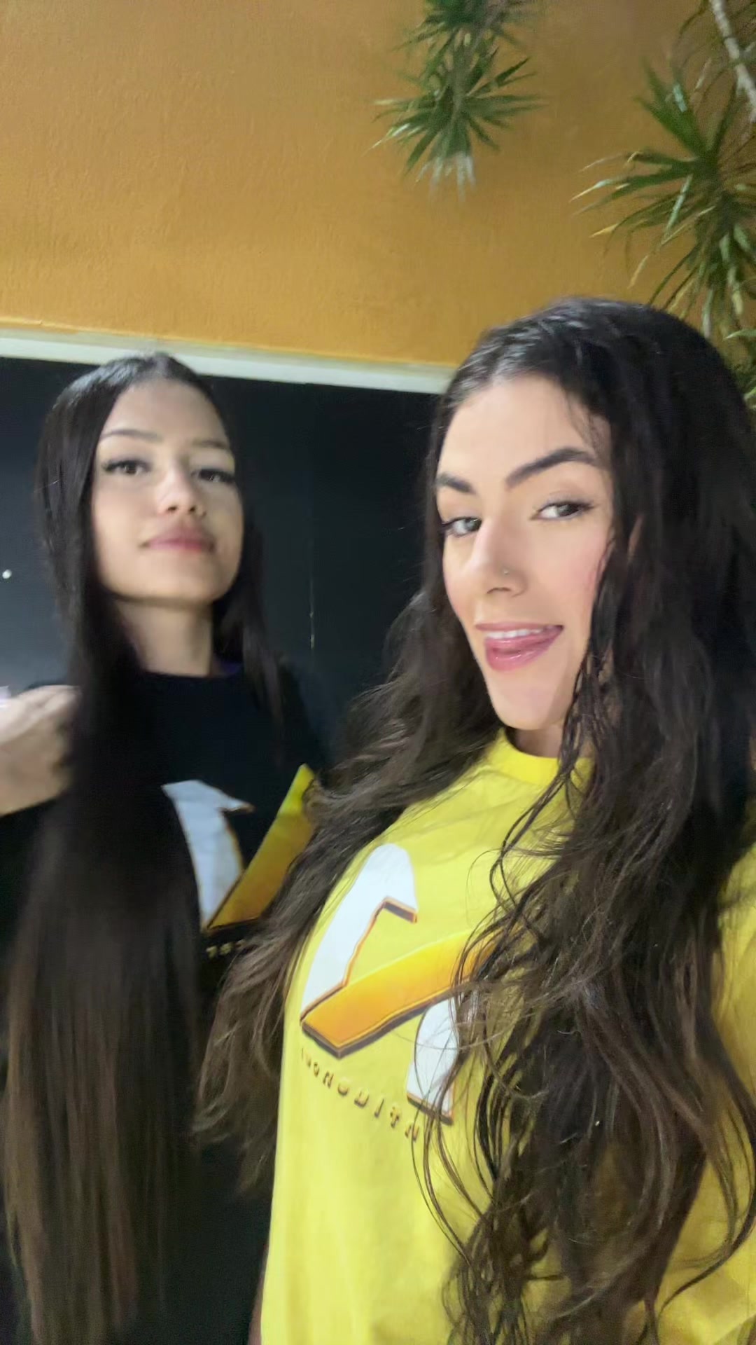 @Evelin