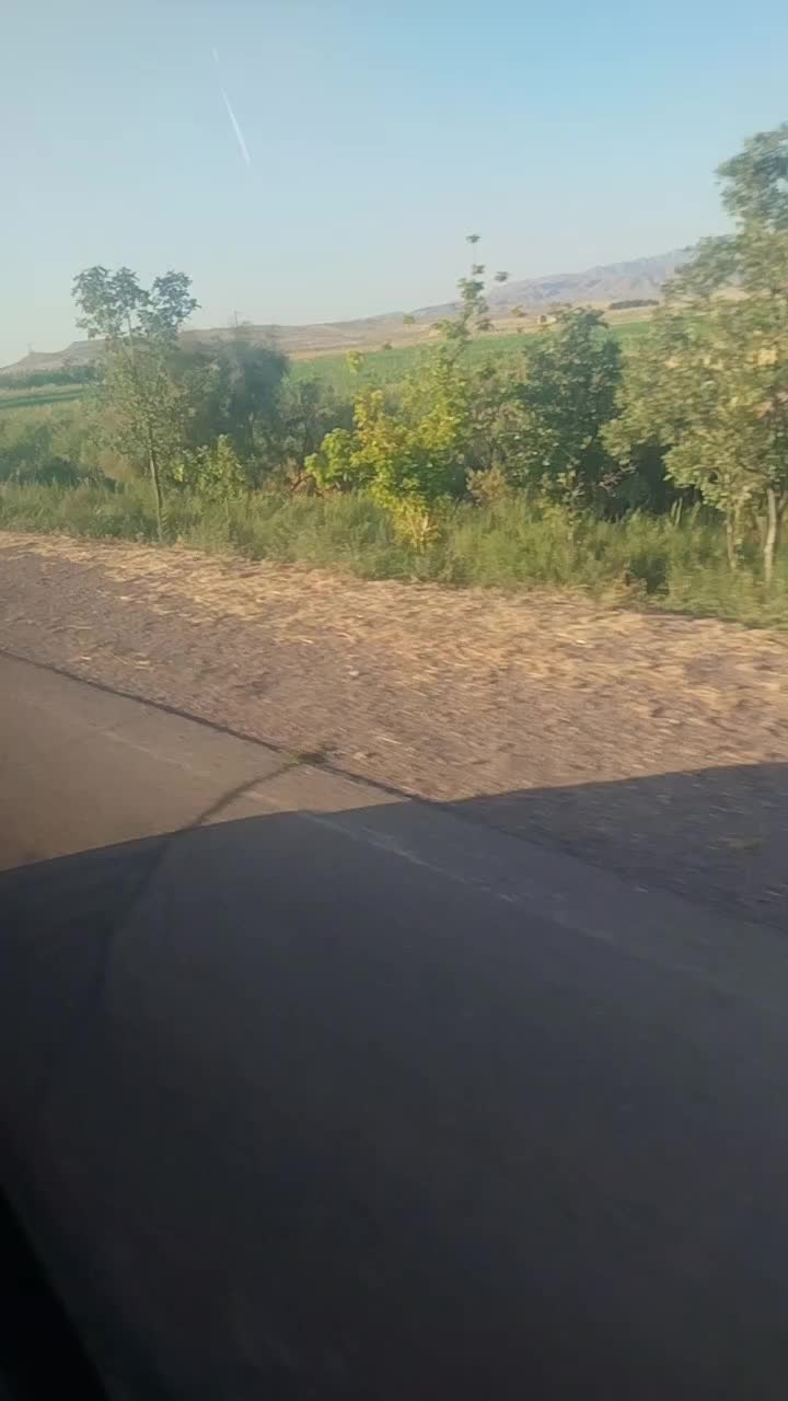 @Hayat