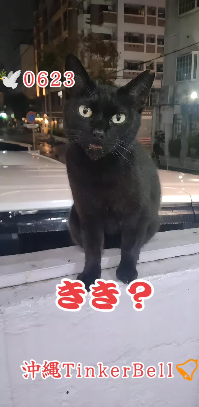 @沖縄セクキャバティンカーベル