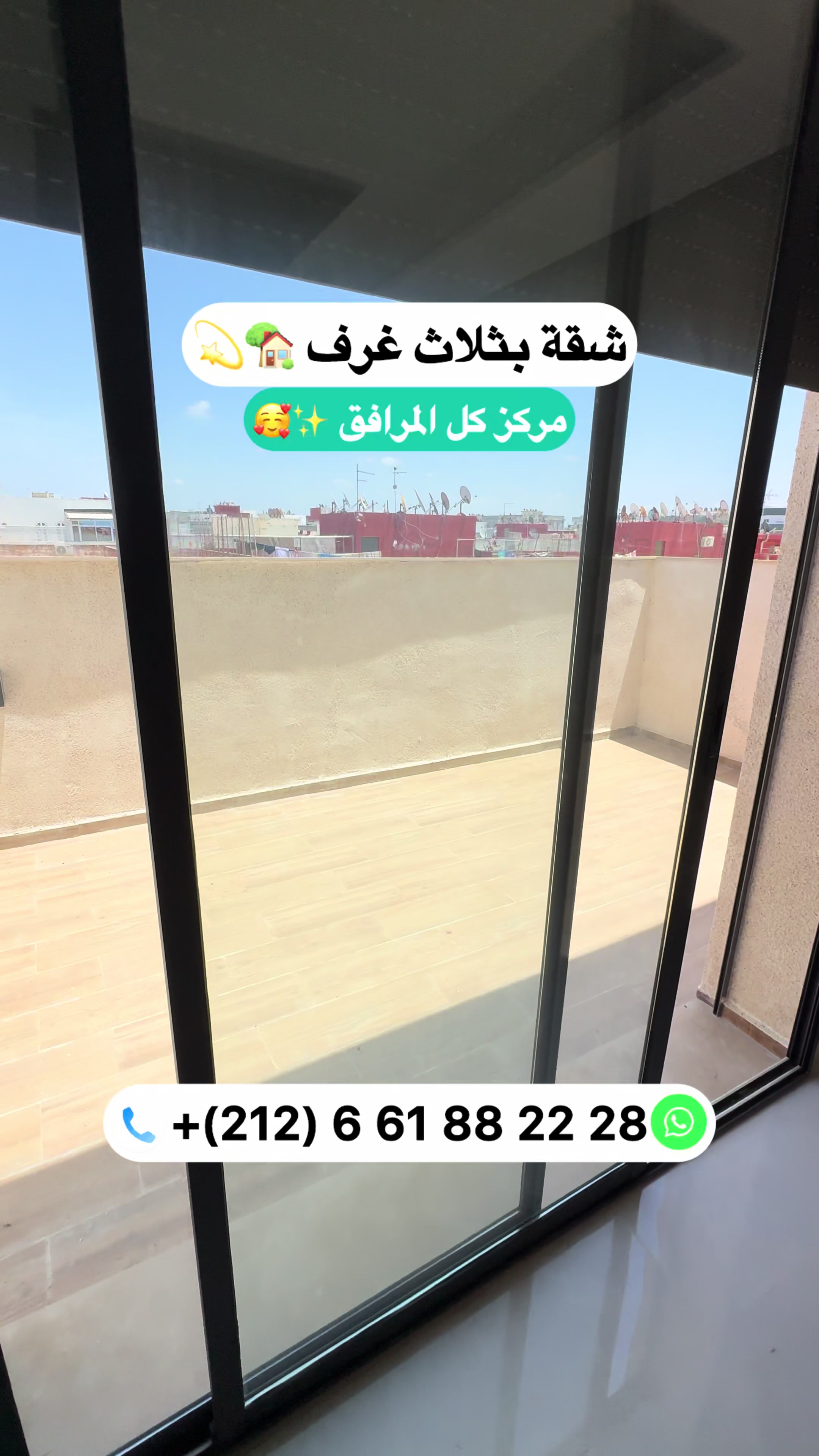 @Zakaria Haddad 🇲🇦🇵🇸