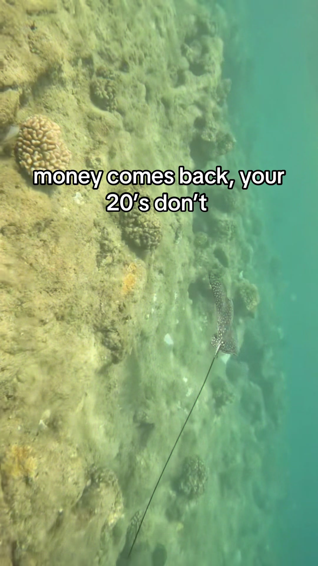 @Brandon Huynh