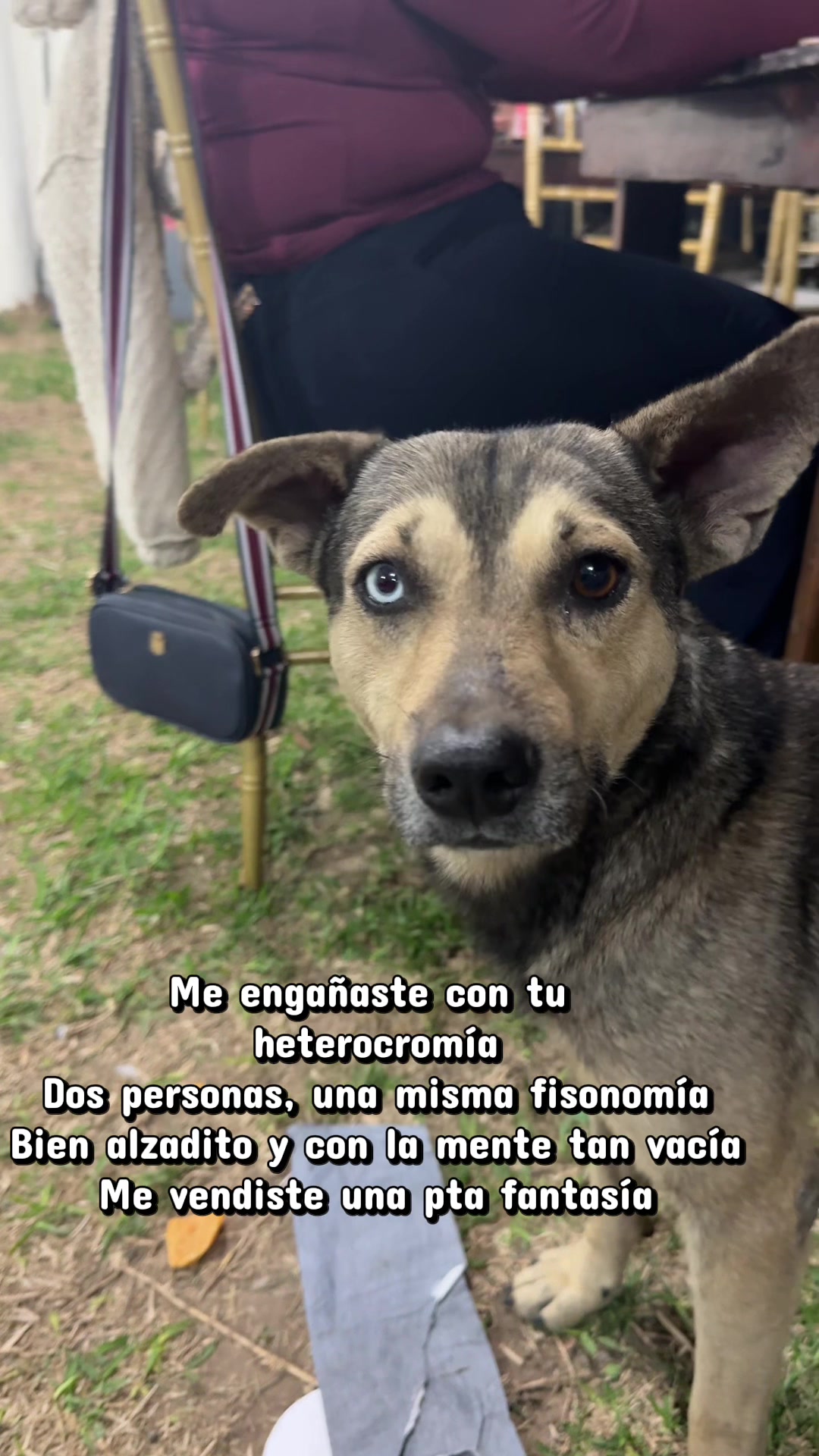 @Marilis
