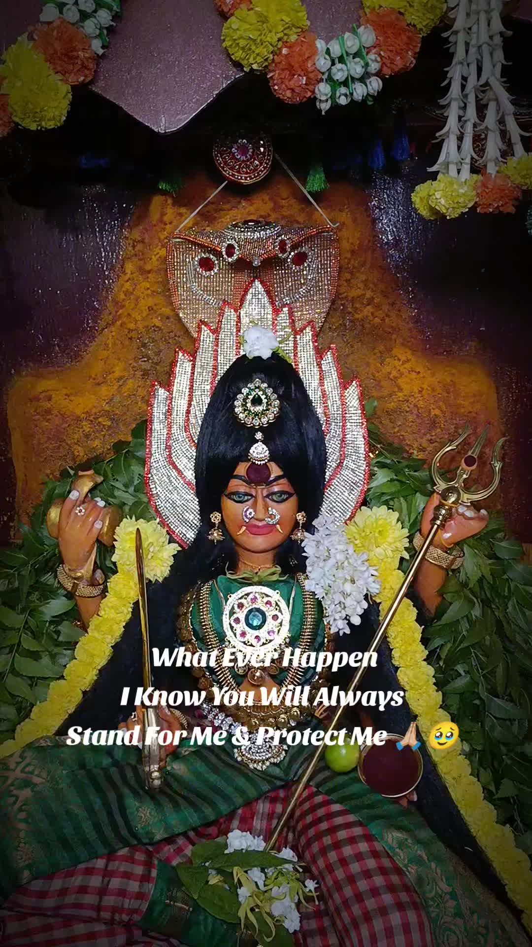 @Ashokkumar 11.11