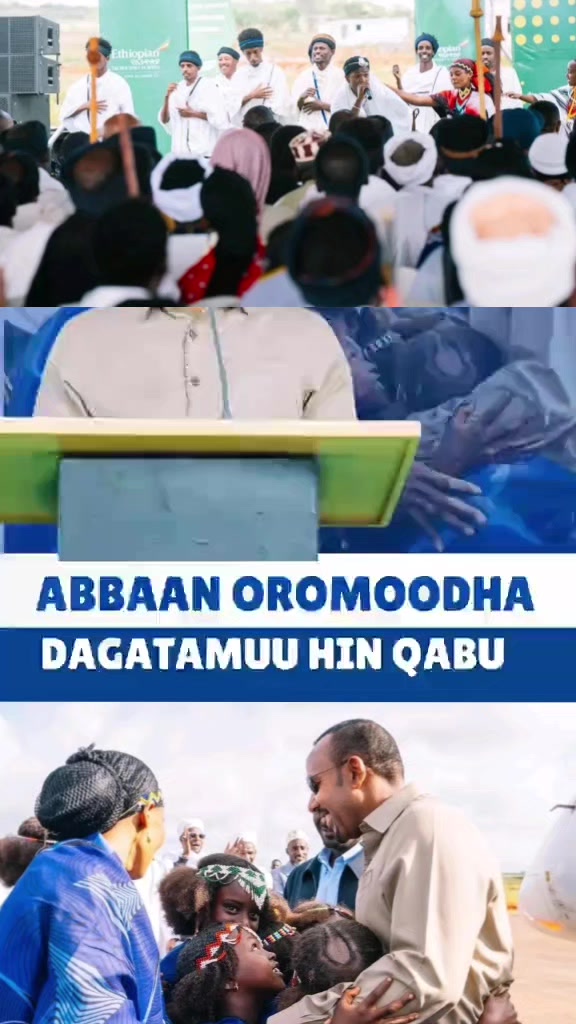 @Shimallis Abdisa Parody