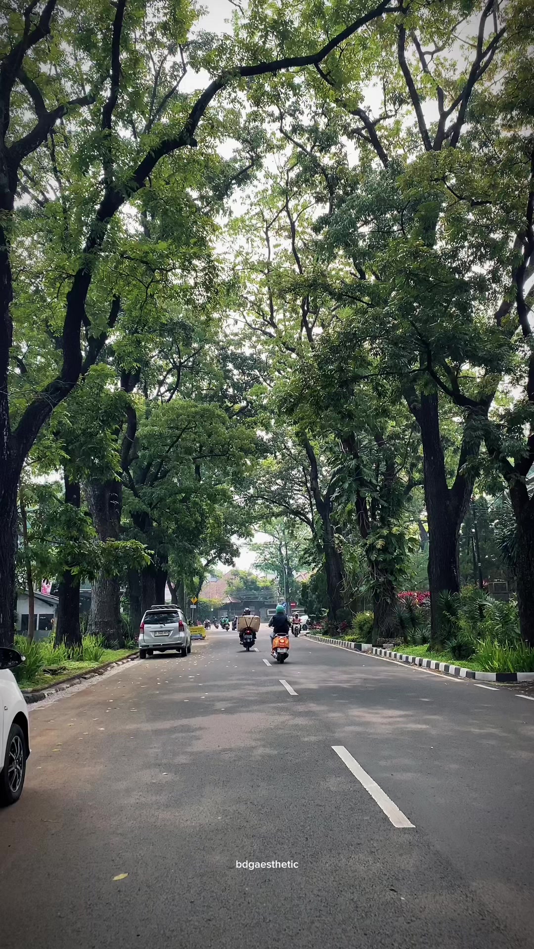 @Bandung Aesthetic