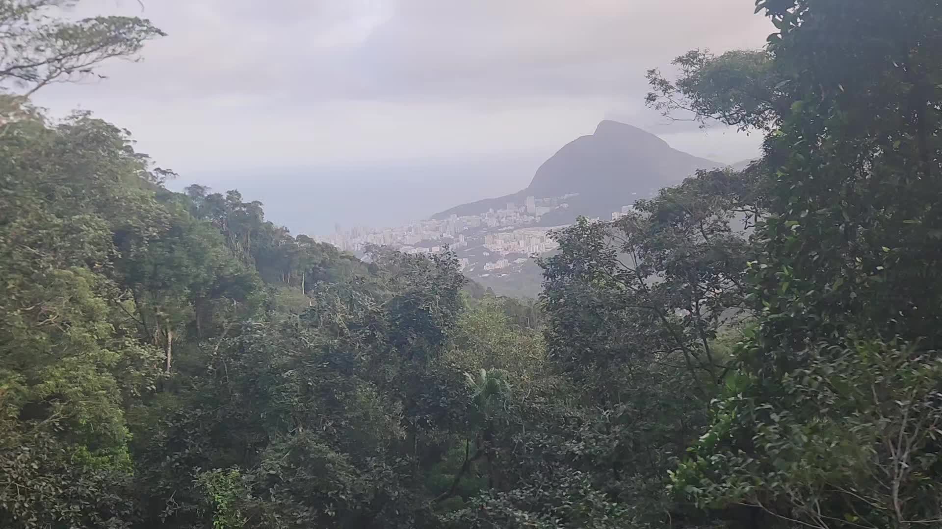 @Dannyboy83dannyboy83