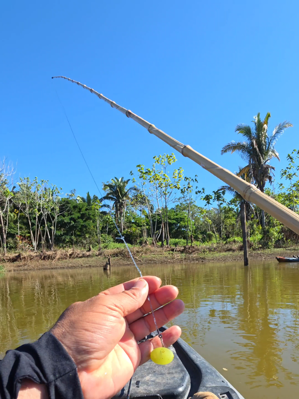 @De Rondônia Para O Mundo