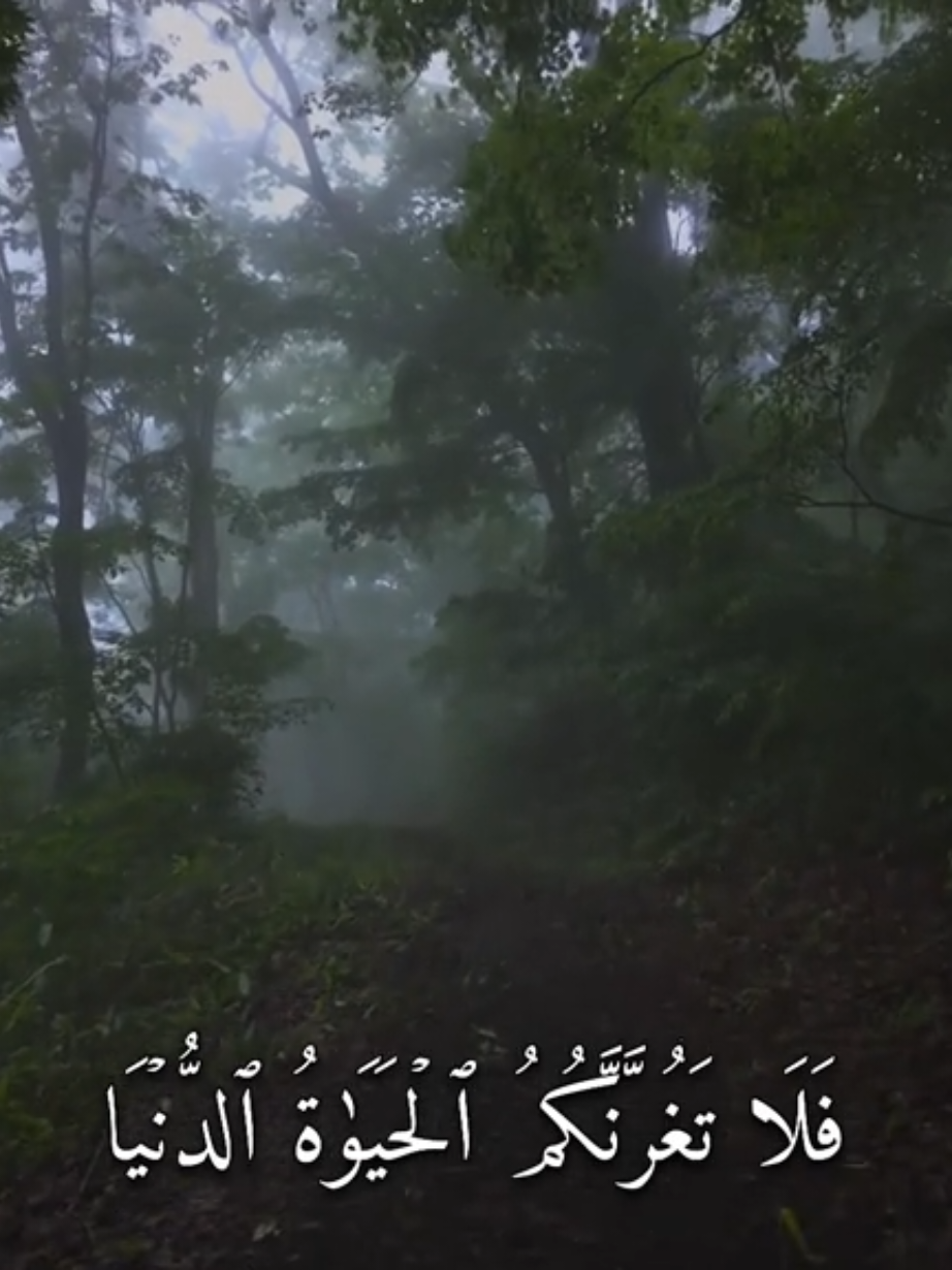 @أابّـوُ وُتُـــــــيٍّنْ 💔🥀