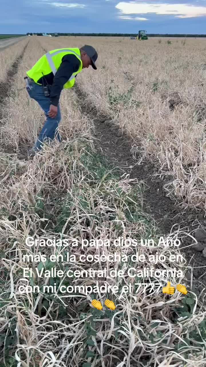 @Piedad Ayala
