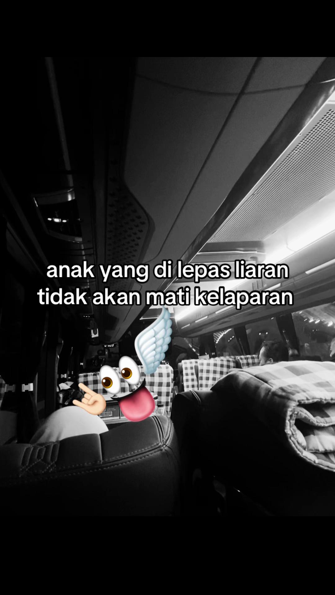 @🪽