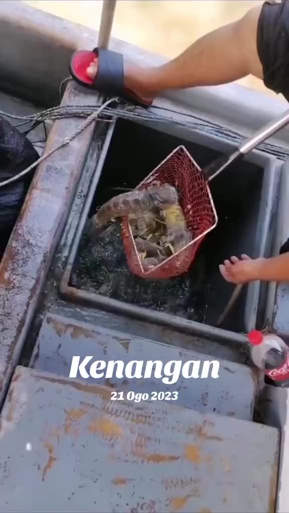 @Azidiahmad