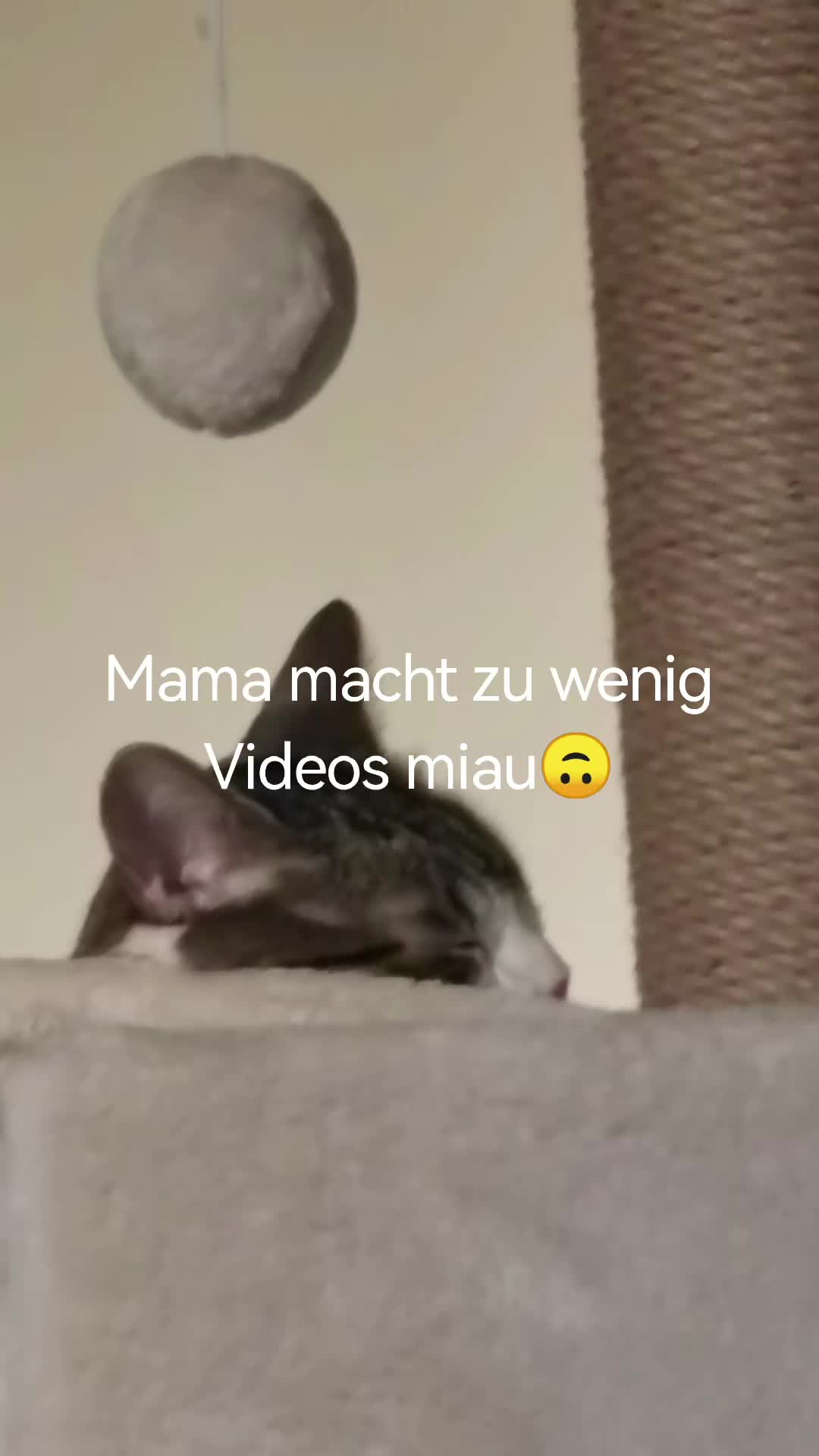 @juli🇩🇪🇺🇸🇷🇺