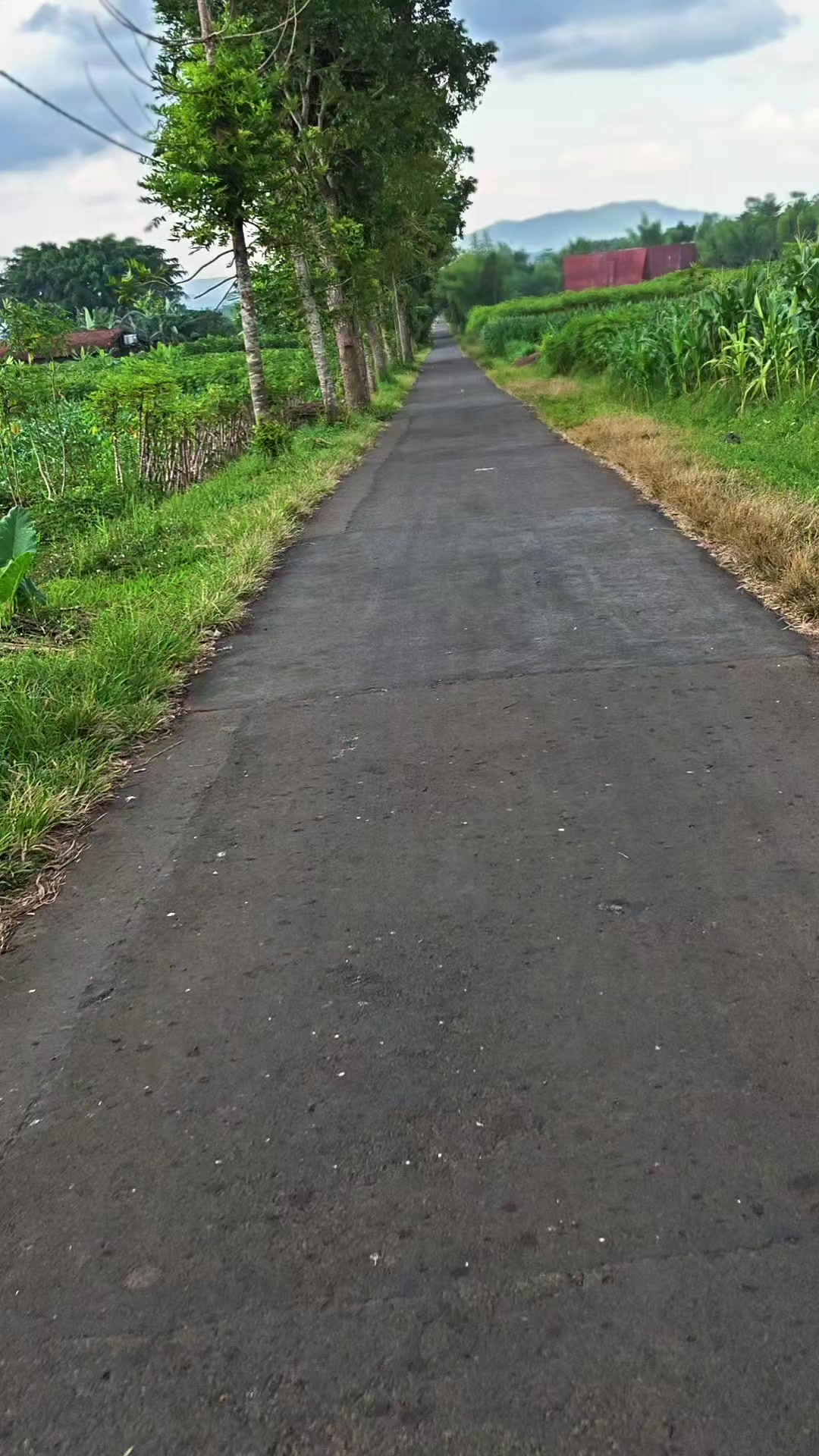 @debi jalan jalan