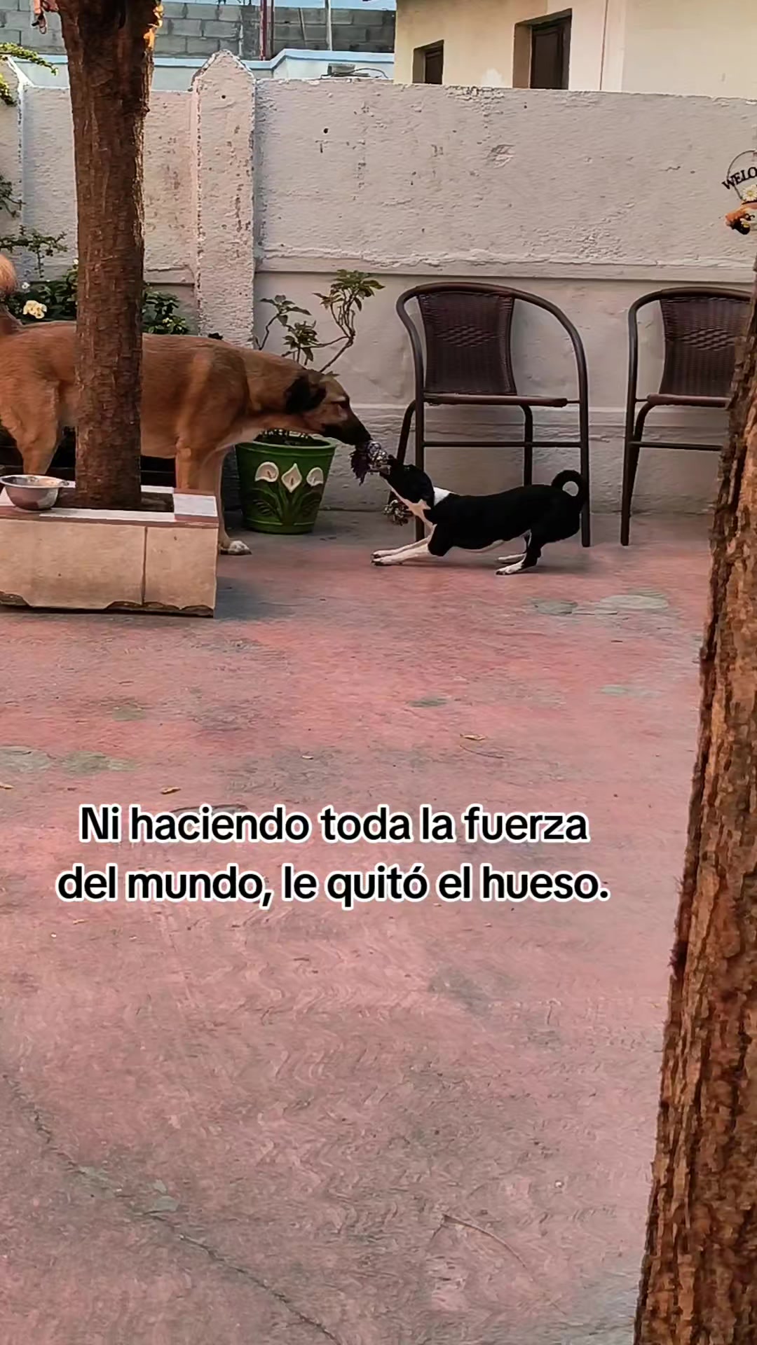 @Amy D..