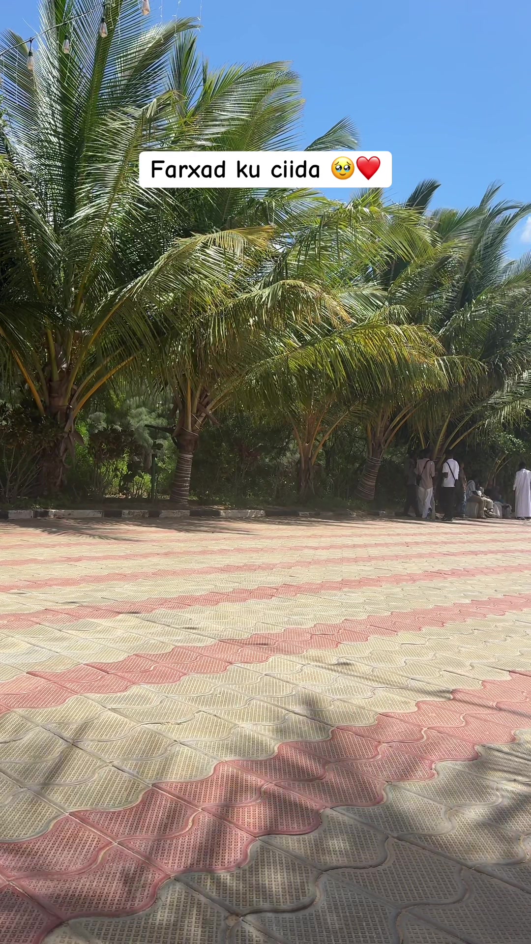 @Enjoy your life 🤩🇸🇴❤️