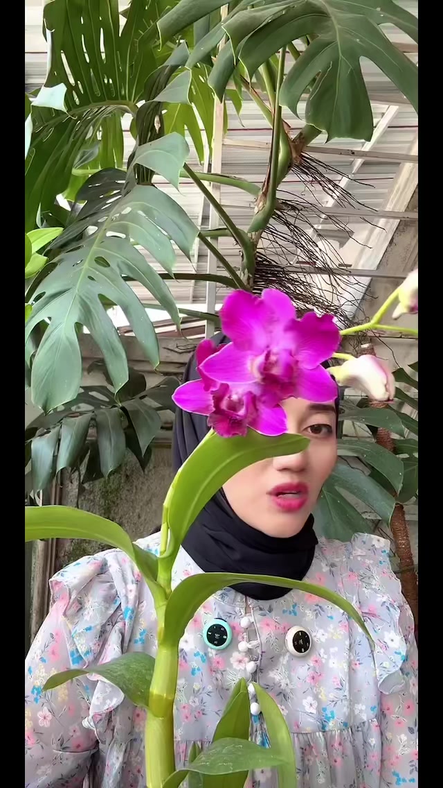 @Anggina Orchid