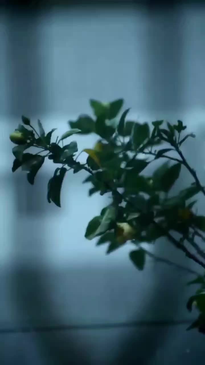 @โ ๐ด๐๐๐๐๐ โ