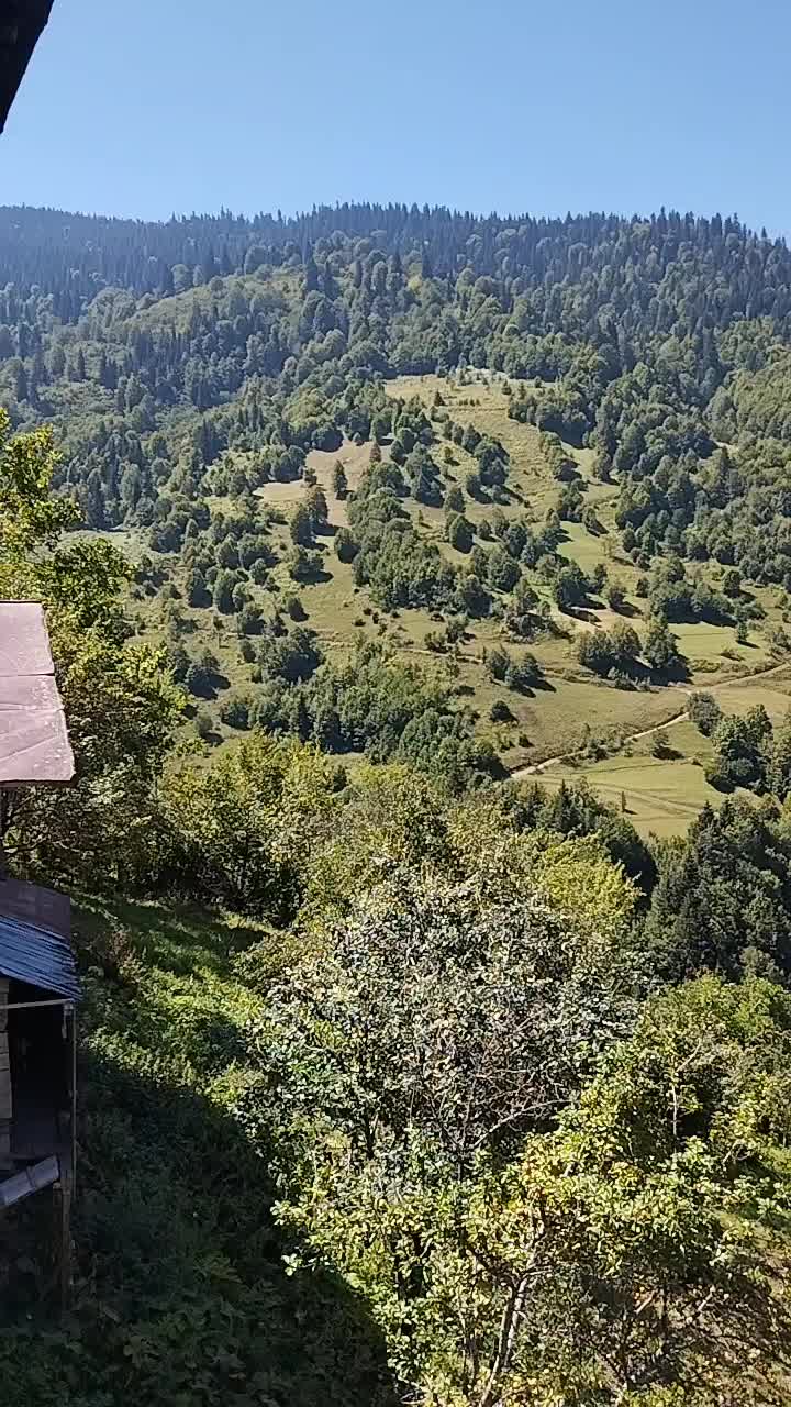 @melano abashidze