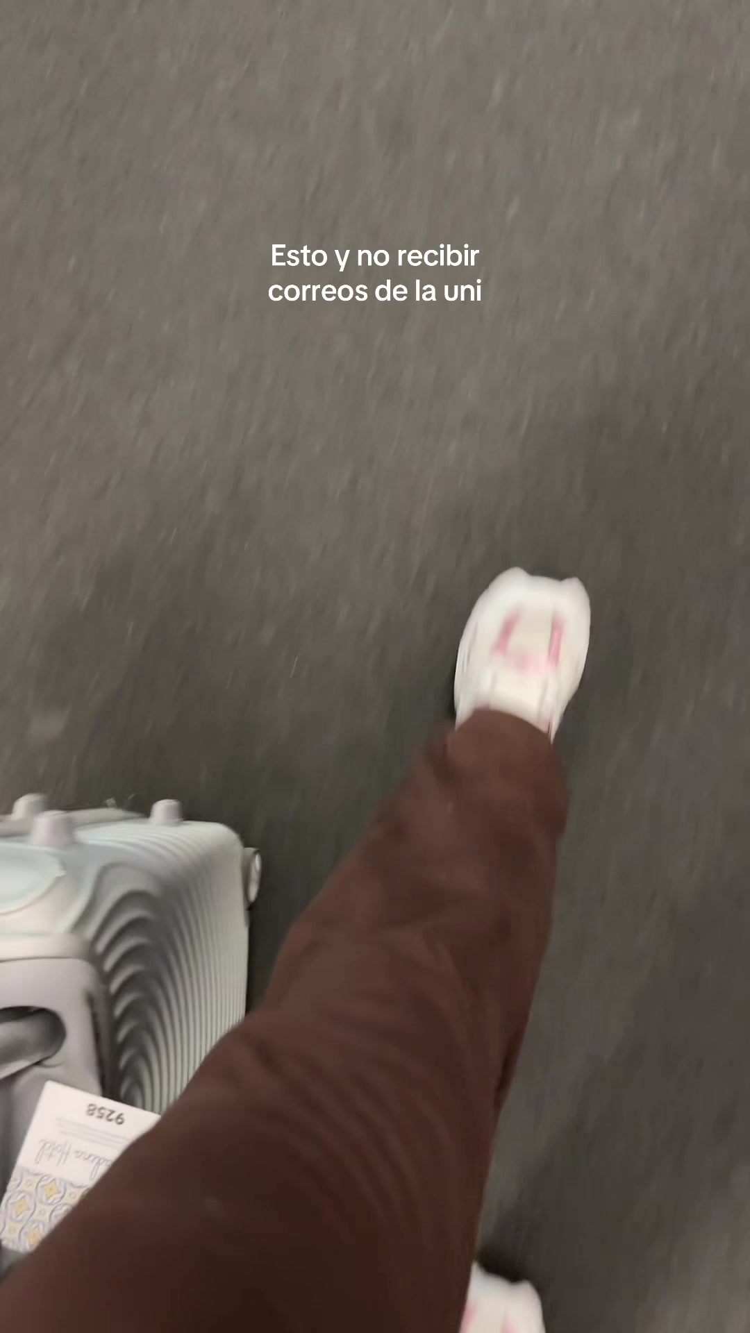 @Stephanie🐆