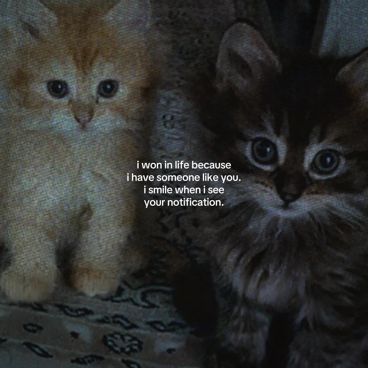 @Spotify: LXNYA