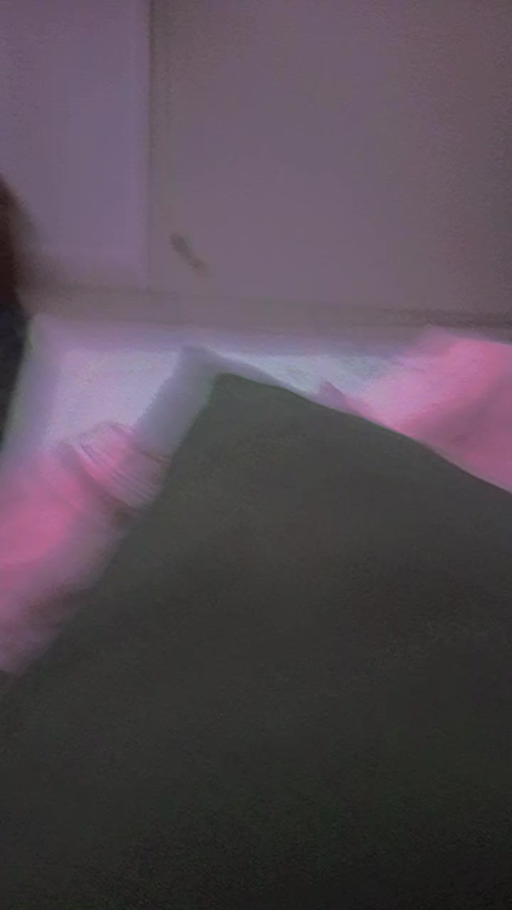 @☆彡彡ꭈׁׅυׁׅׅ꯱ׅ꯱ꪱׁׁׁׅׅׅɑׁׅ݊ꪀミミ☆