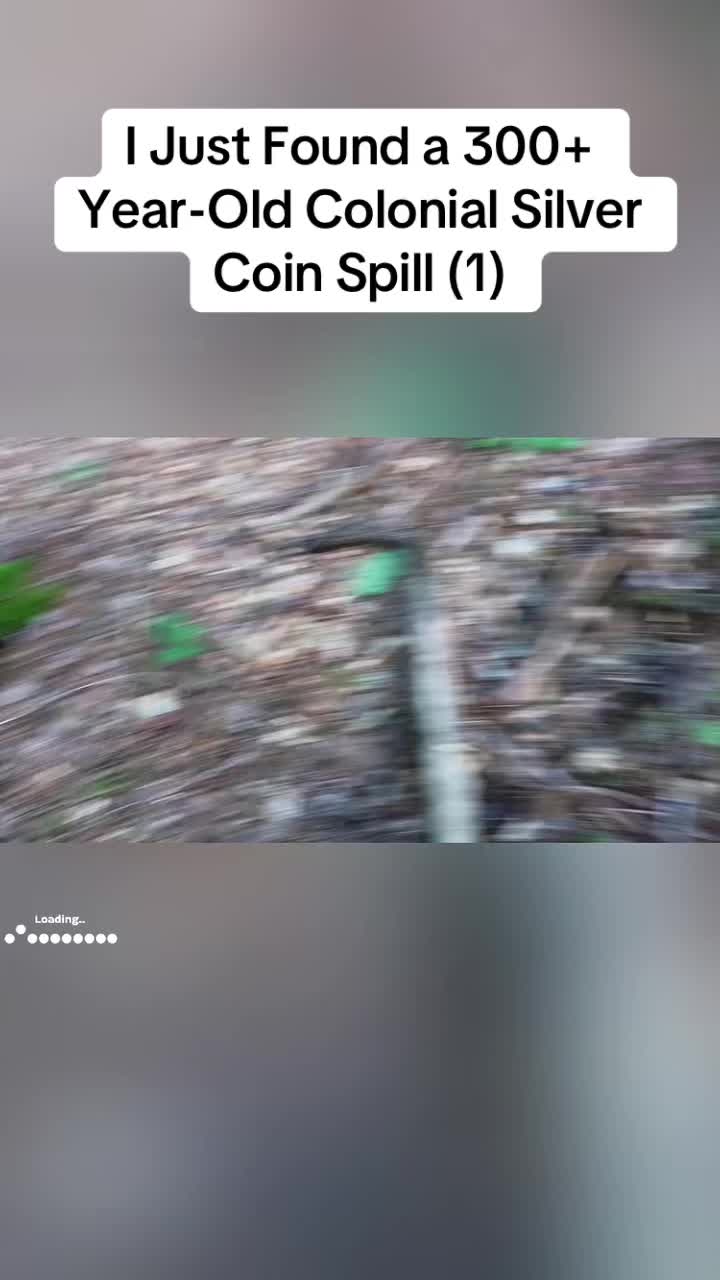 @Animals in nature