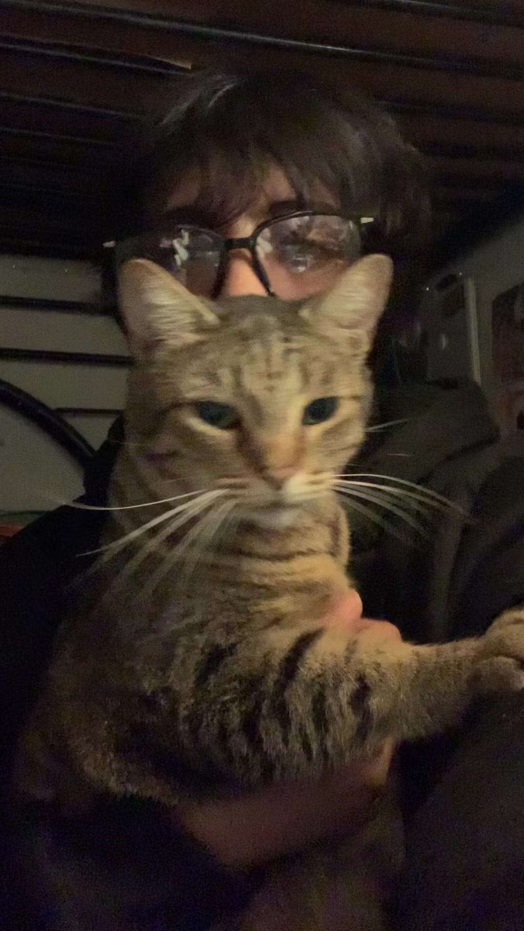 @sushiicat_