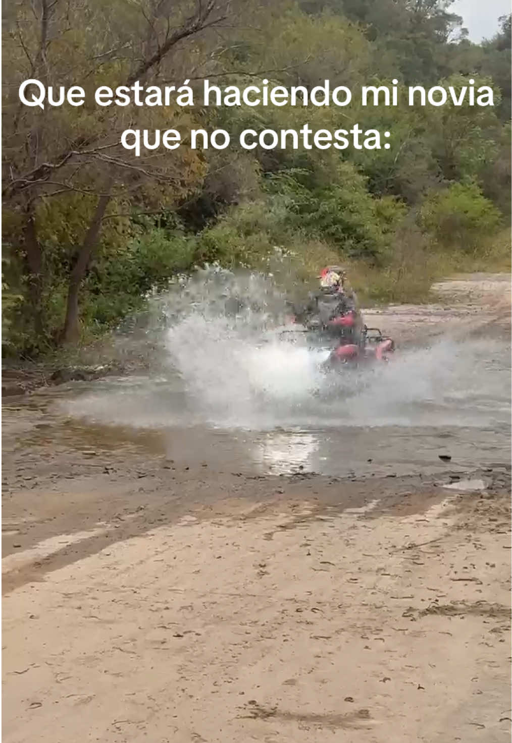 @Lucila Lobo