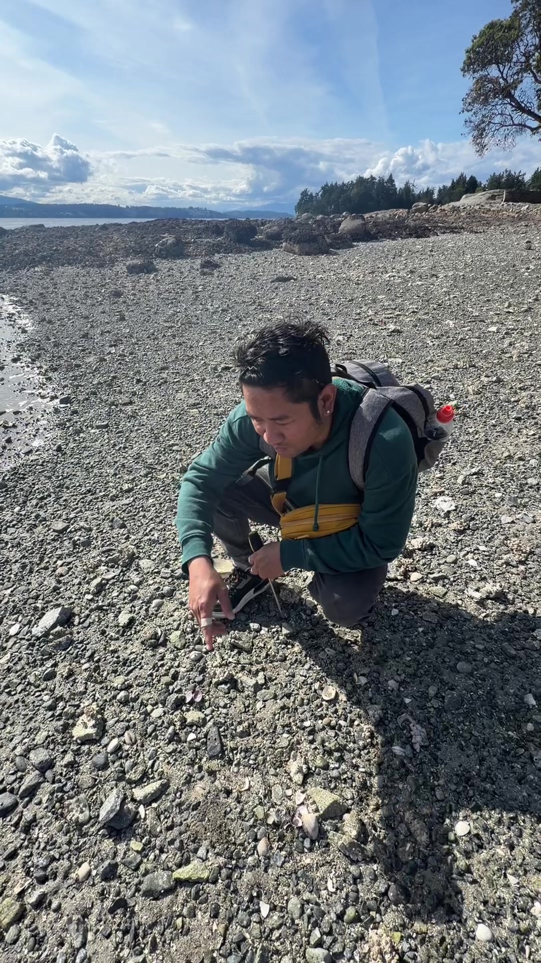 @SEAFOODS