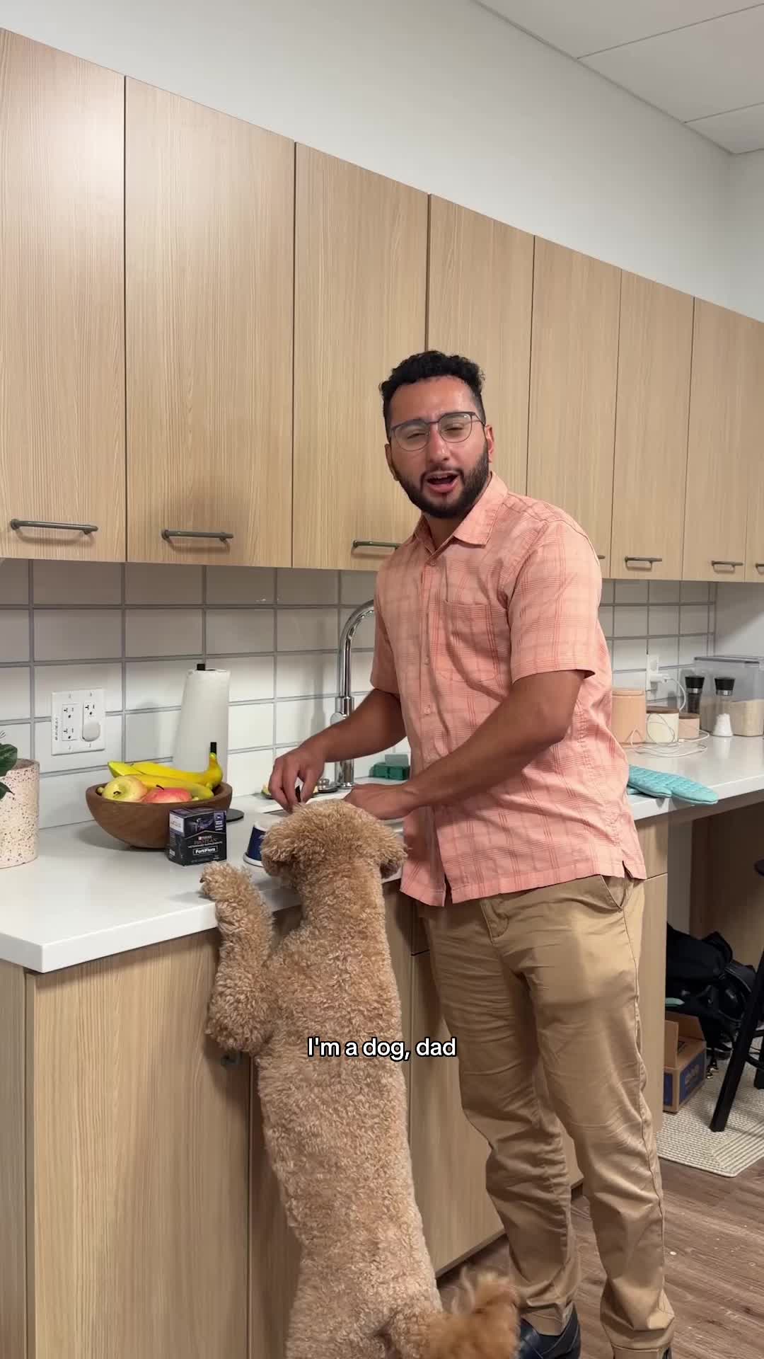 @Chewy