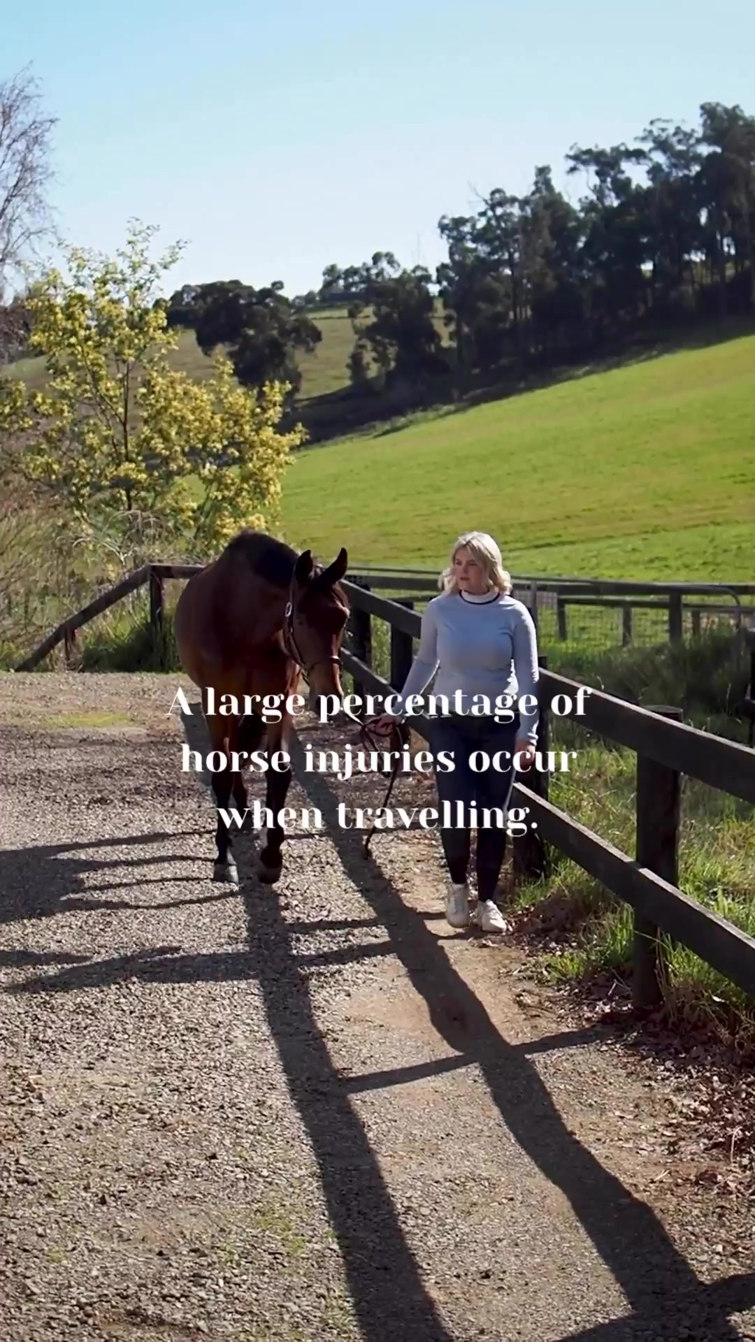 @LumiereEquestrian