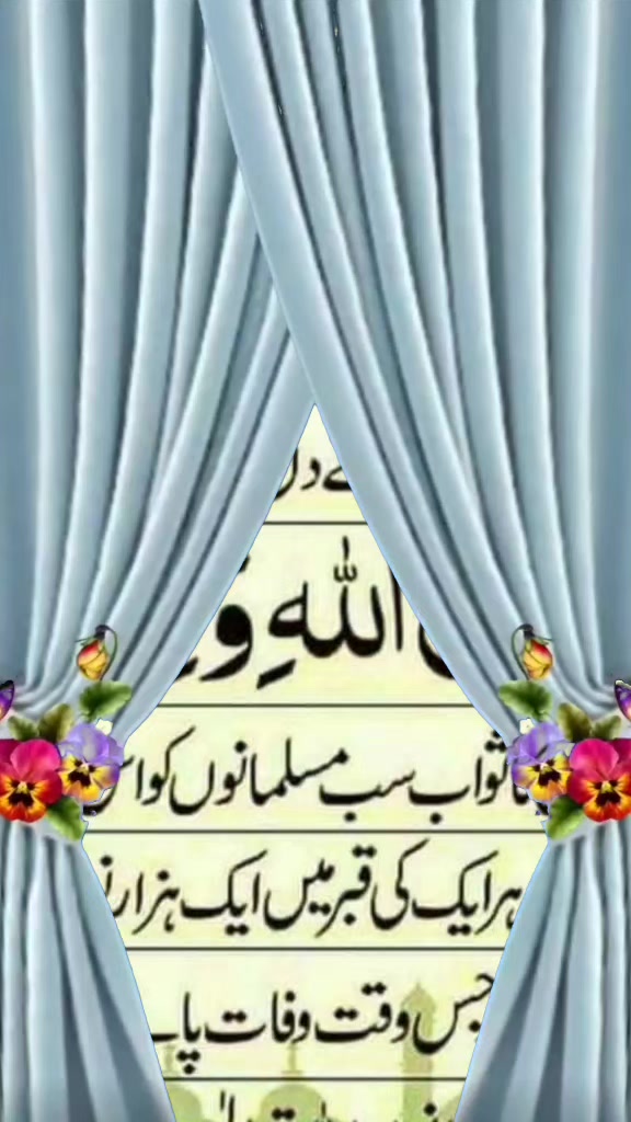 @m.amshrajpoot786