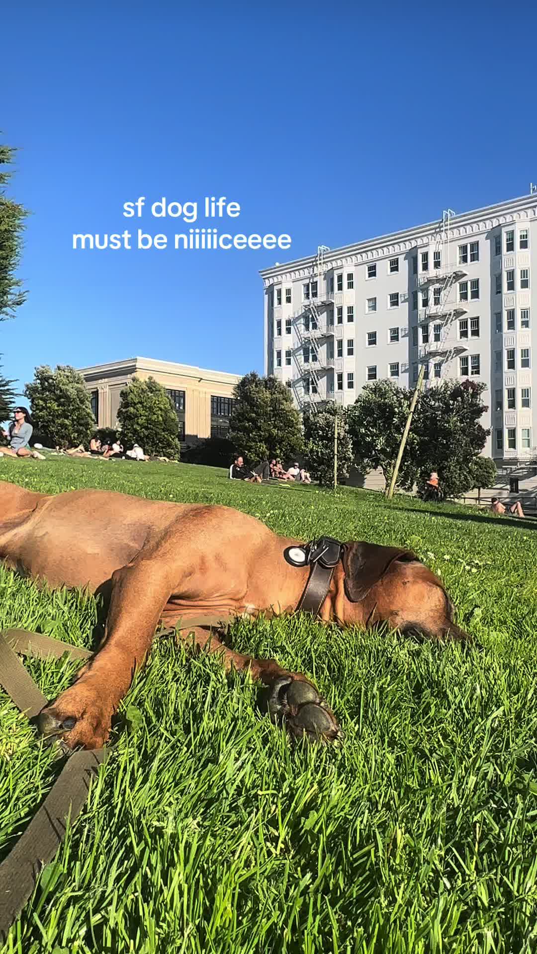 @Emily