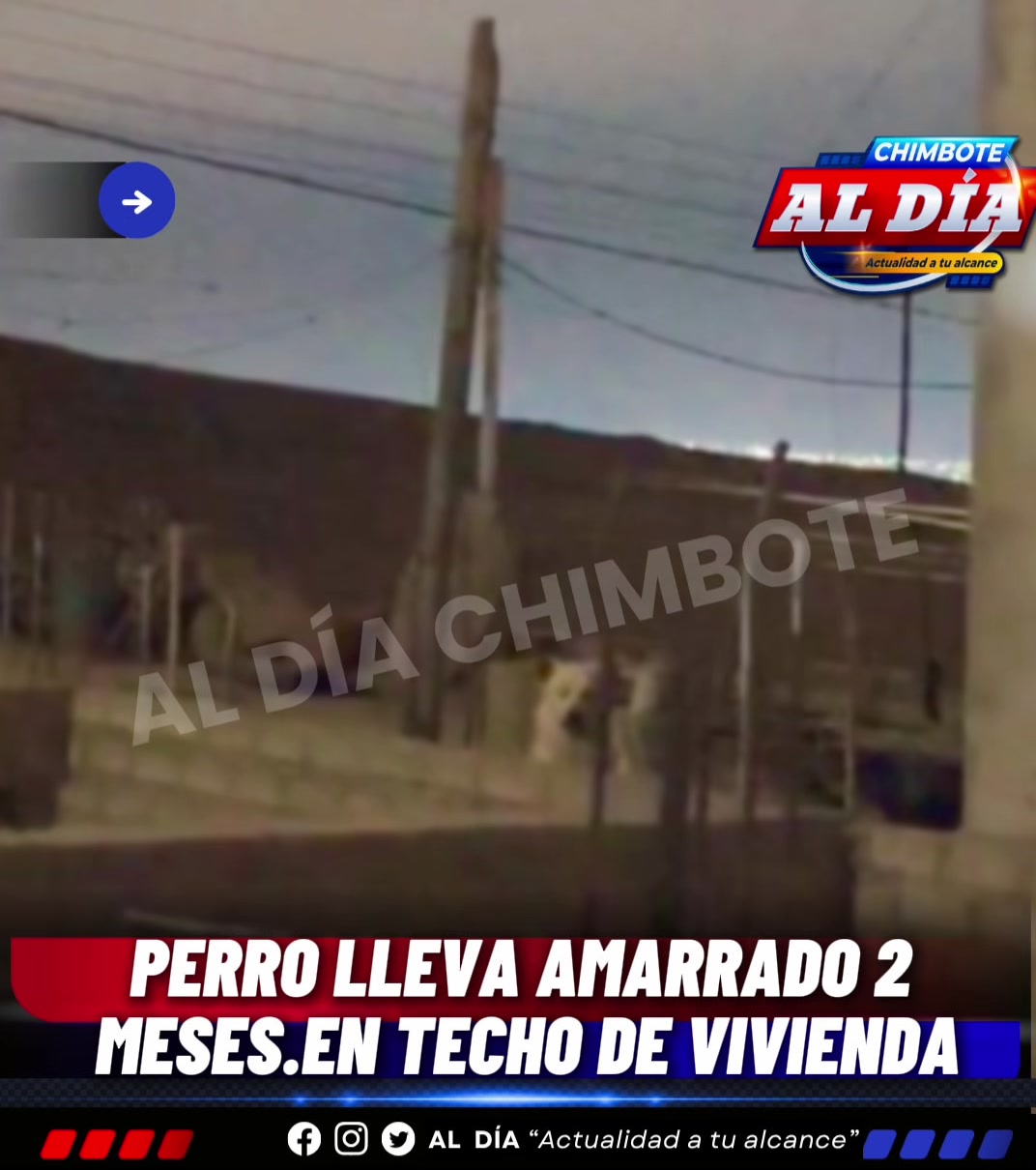 @Al D&iacute;a Chimbote